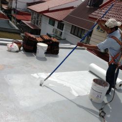Waterproofing Of R.C Flat Roof